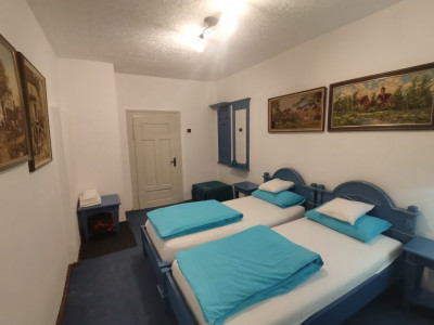 Hoteluri de vanzare Cisnadie imagine mica 28