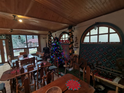 Hoteluri de vanzare Cisnadie imagine mica 37