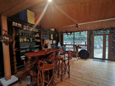 Hoteluri de vanzare Cisnadie imagine mica 38