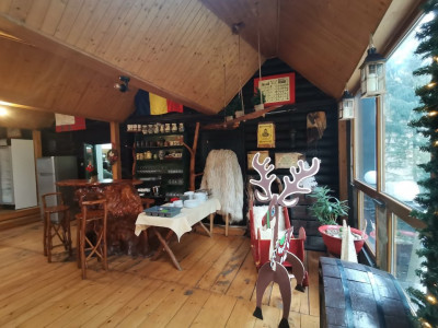 Hoteluri de vanzare Cisnadie imagine mica 39