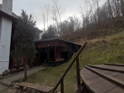 Hoteluri de vanzare Cisnadie imagine mica 49