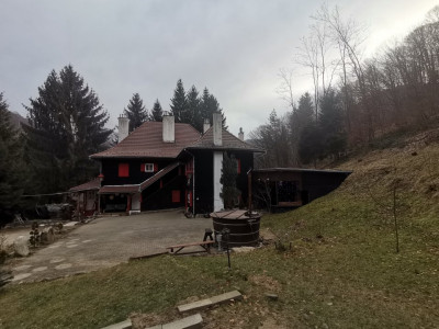 Hoteluri de vanzare Cisnadie imagine mica 50