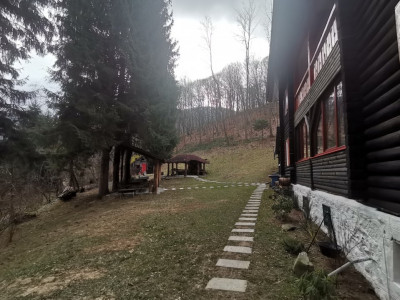 Hoteluri de vanzare Cisnadie imagine mica 59