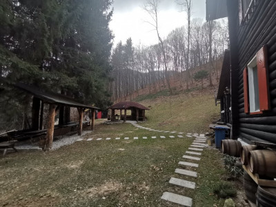 Hoteluri de vanzare Cisnadie imagine mica 60