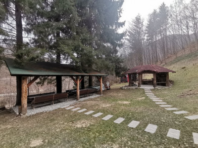 Hoteluri de vanzare Cisnadie imagine mica 61