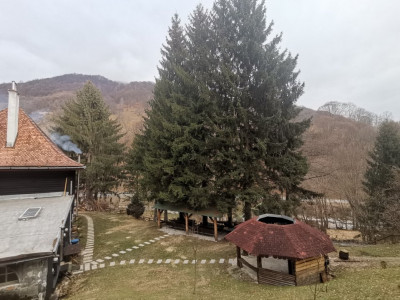 Hoteluri de vanzare Cisnadie imagine mica 63