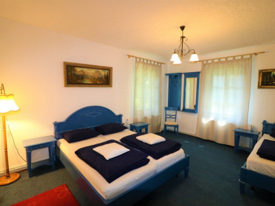 Hoteluri de vanzare Cisnadie imagine mica 82