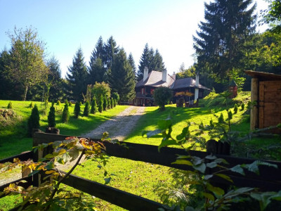 Hoteluri de vanzare Cisnadie imagine mica 89
