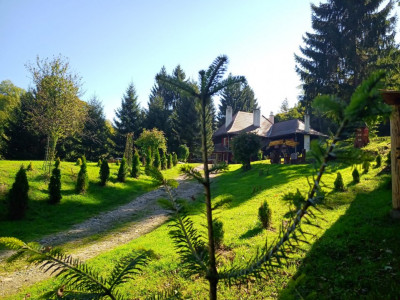 Hoteluri de vanzare Cisnadie imagine mica 91