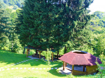 Hoteluri de vanzare Cisnadie imagine mica 93