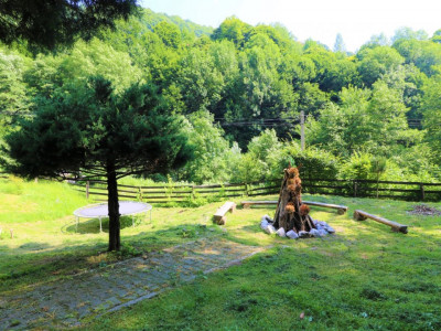 Hoteluri de vanzare Cisnadie imagine mica 96