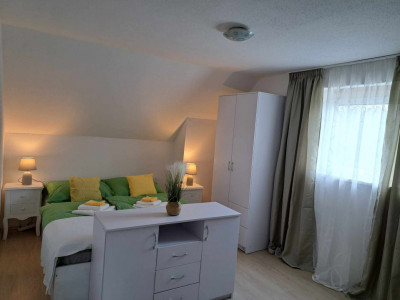 2 case individuale renovate functionale in regim hotelier Sura Mare 