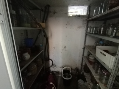Case de vanzare Sibiu Turnisor imagine mica 33