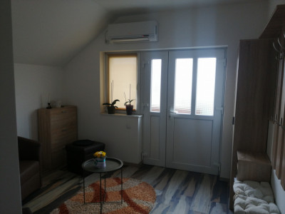 Case de vanzare Sibiu Gusterita imagine mica 24