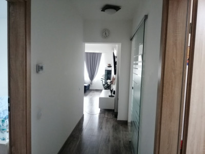 Case de vanzare Sibiu Gusterita imagine mica 25