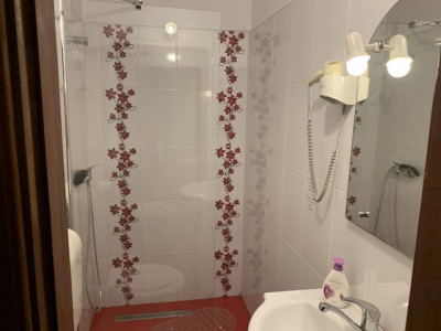 Hoteluri de vanzare Sibiu Turnisor imagine mica 29