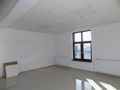 Spatii birouri de inchiriat Sibiu Turnisor imagine mica 2