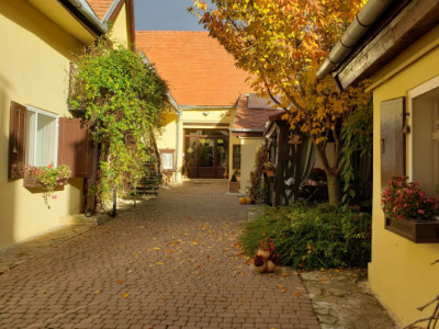 Hoteluri de vanzare Apoldu de Sus imagine mica 16
