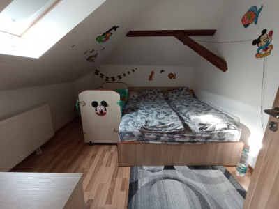 Apartamente de vanzare Sibiu Lupeni imagine mica 4