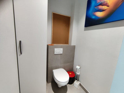 Spatii comerciale de inchiriat Sibiu Trei Stejari imagine mica 8