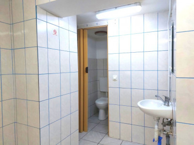 Spatii comerciale de inchiriat Cisnadie imagine mica 7