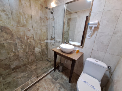 Hoteluri de vanzare Sibiu Terezian imagine mica 28