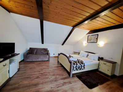 Hoteluri de vanzare Sibiu Terezian imagine mica 30