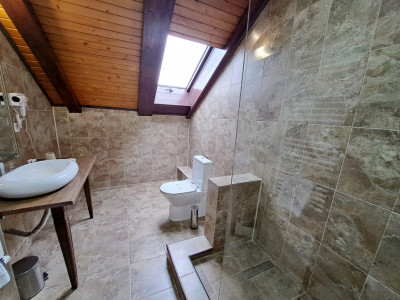 Hoteluri de vanzare Sibiu Terezian imagine mica 31