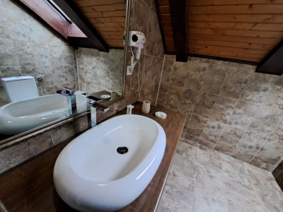 Hoteluri de vanzare Sibiu Terezian imagine mica 32