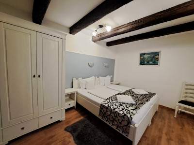 Hoteluri de vanzare Sibiu Terezian imagine mica 43