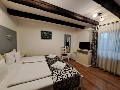 Hoteluri de vanzare Sibiu Terezian imagine mica 44