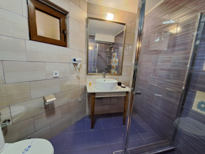 Hoteluri de vanzare Sibiu Terezian imagine mica 45