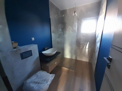 Case de vanzare Sibiu Turnisor imagine mica 14