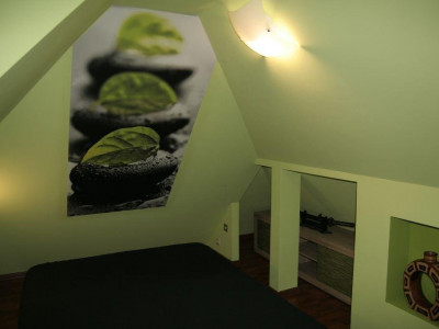 Case de vanzare Sibiu Trei Stejari imagine mica 21
