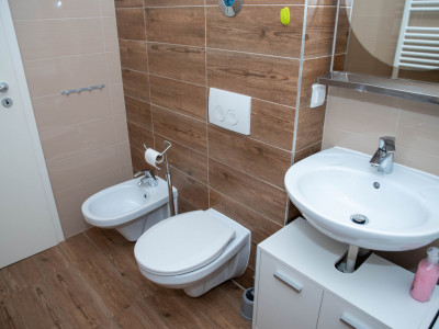Apartamente de vanzare Sibiu Doamna Stanca imagine mica 15