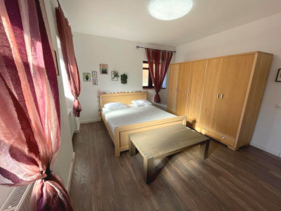 Case de inchiriat Sibiu Gusterita imagine mica 2