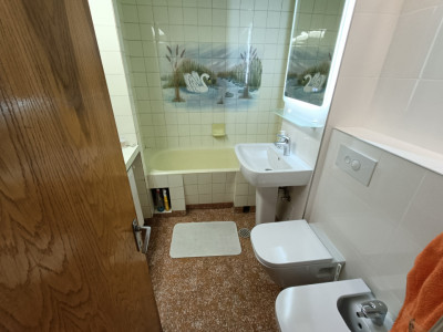 Apartamente de vanzare Sibiu Vasile Aaron imagine mica 5