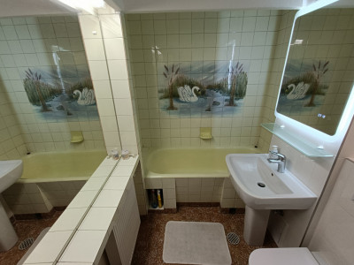 Apartamente de vanzare Sibiu Vasile Aaron imagine mica 14