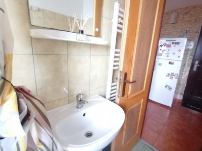 Apartamente de vanzare Sibiu Rahovei imagine mica 11