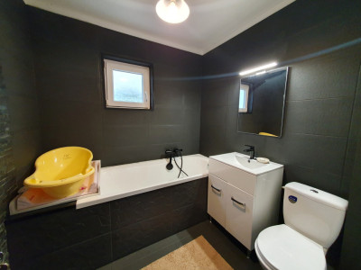 Case de vanzare Sura Mare imagine mica 7