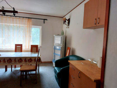 Apartamente de vanzare Paltinis imagine mica 6