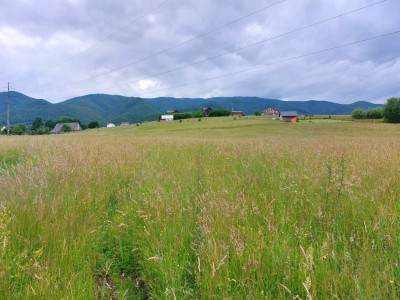Terenuri de vanzare Tocile imagine mica 1