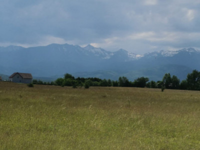 Terenuri de vanzare Avrig imagine mica 7