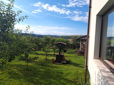 Casa 4 camere 574 mp teren liber filigorie pivnita Daia Sibiu