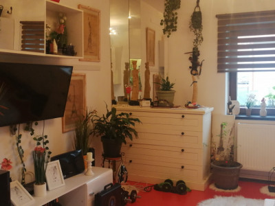 Apartamente de vanzare Sibiu Turnisor imagine mica 1