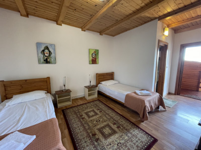 Hoteluri de vanzare Alba Iulia Micesti imagine mica 7