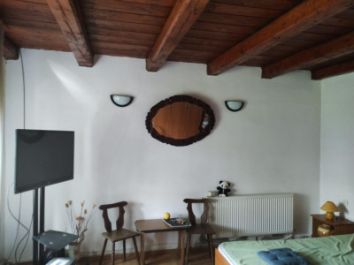 Case de vanzare Rausor imagine mica 7