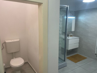 Apartamente de inchiriat Sibiu Central imagine mica 8