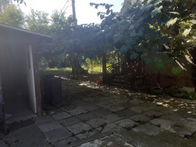 Case de vanzare Fagaras imagine mica 6