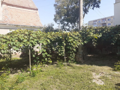 Case de vanzare Fagaras imagine mica 8